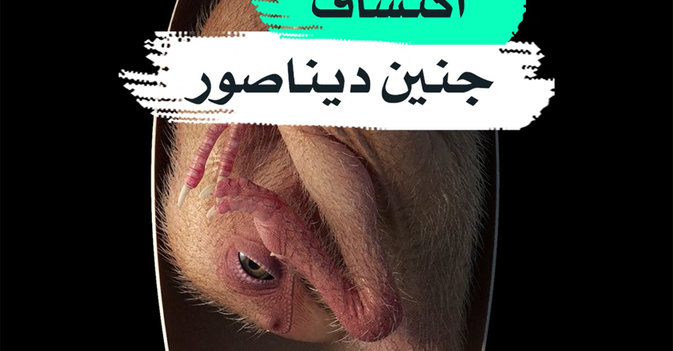 اكتشاف جنين ديناصور