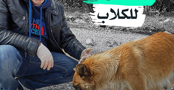 ألف دولار للكلاب