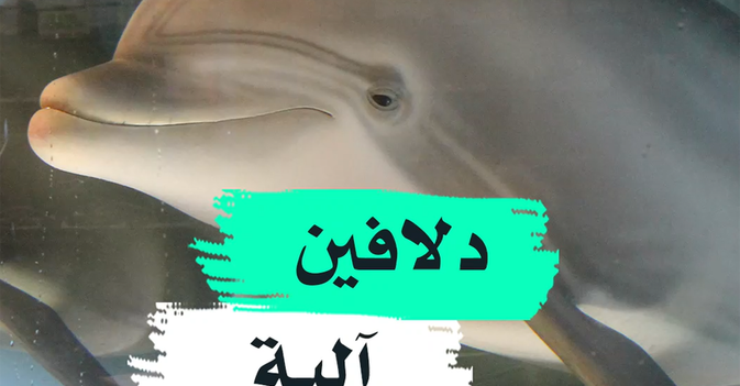 دلافين آلية