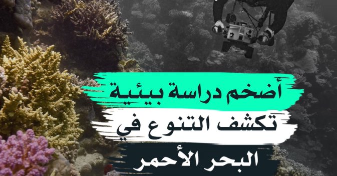 أضخم دراسة بيئية تكشف التنوع في البحر الأحمر