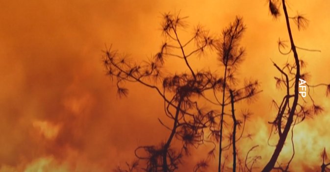 أوروبا تكافح الحرائق بسبب موجة الحر