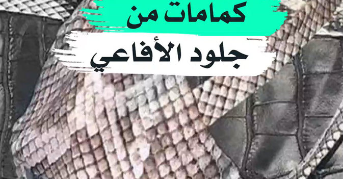 كمامات من جلود الأفاعي