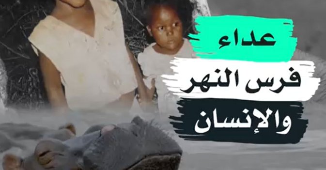 عداء فرس النهر والإنسان