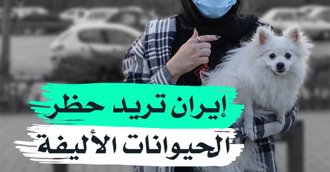 إيران تريد حظر الحيوانات الأليفة