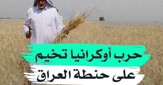 حرب أوكرانيا تخيم على حنطة العراق