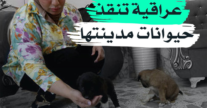 عراقية تنقذ حيوانات مدينتها