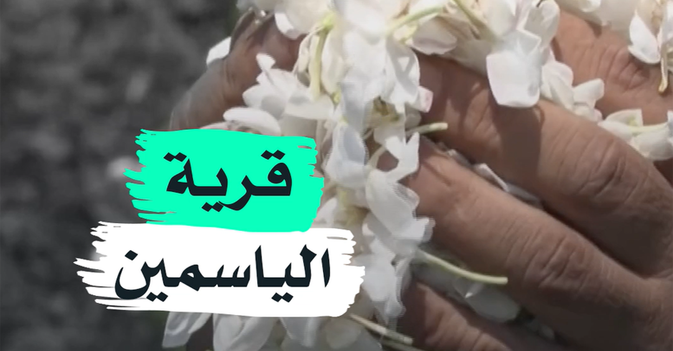 قرية الياسمين