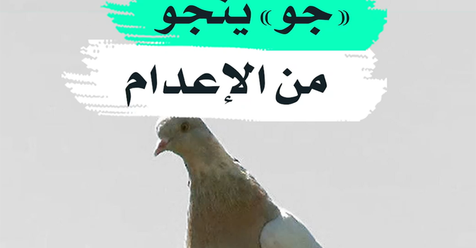 "جو" ينجو من الإعدام