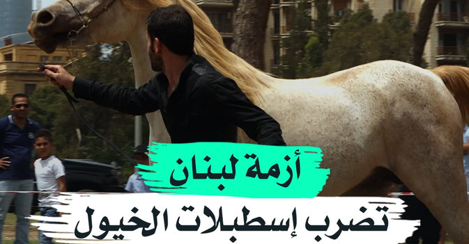 أزمة لبنان تضرب إسطبلات الخيول