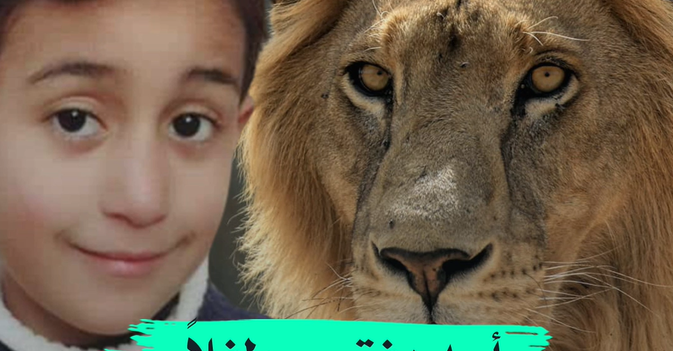 أسد يفترس طفلاً في غزة 