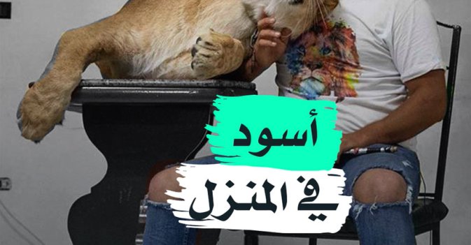 أسود في المنزل