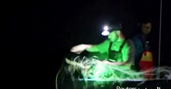 شبكات صيد مضيئة تنقذ حياة الكائنات المائية