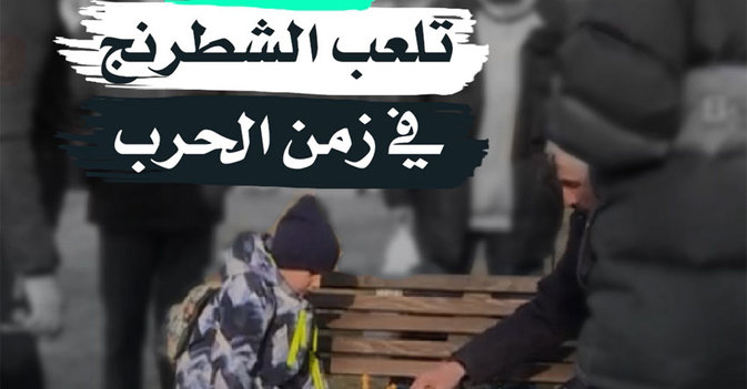 "لفيف" تلعب الشطرنج في زمن الحرب
