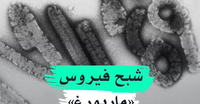 شبح فيروس «ماربورغ»