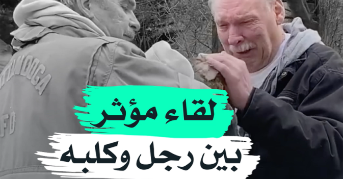 لقاء مؤثر بين رجل وكلبه