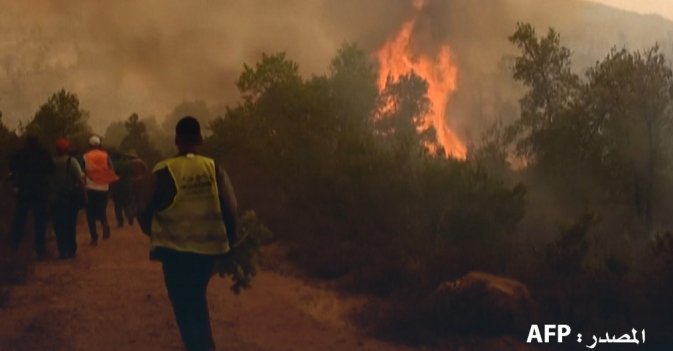 قتيل وإجلاء ألف عائلة بسبب حرائق الغابات في المغرب