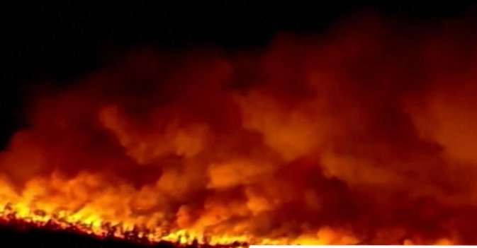 حريق هائل يلتهم الغابات في ولاية نيوجيرسي