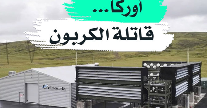 أوركا... قاتلة الكربون