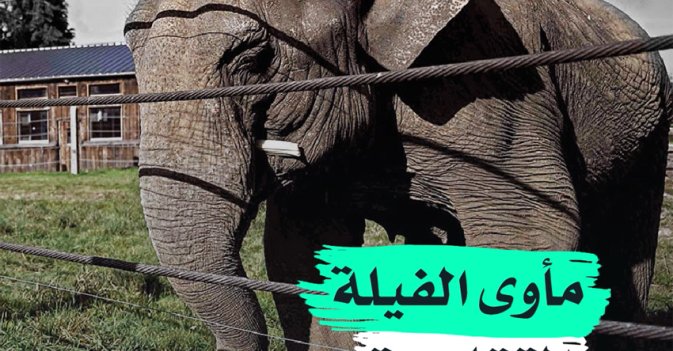 مأوى الفيلة المتقاعدة