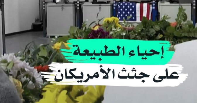 إحياء الطبيعة على جثث الأمريكان