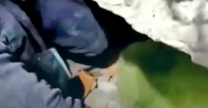 إنقاذ مسنة عمرها 77 عاماً بعد 212 ساعة من الزلزال