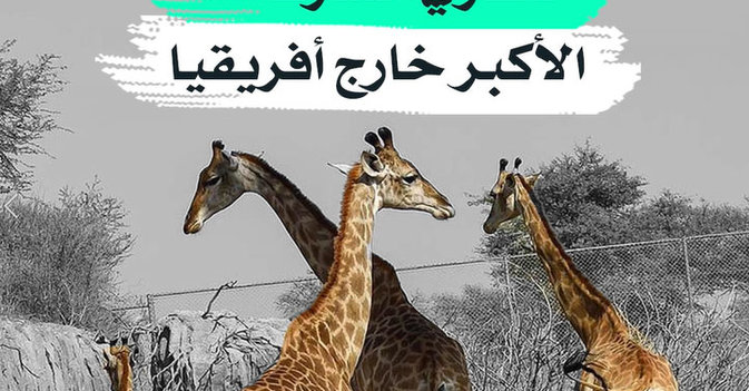 سفاري الشارقة... الأكبر خارج أفريقيا
