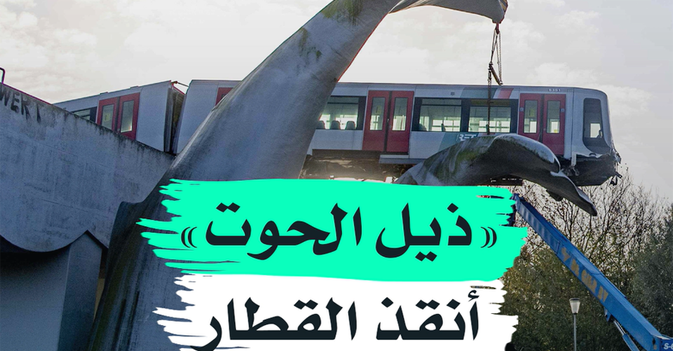 "ذيل الحوت" أنقذ القطار