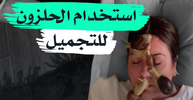 استخدام الحلزون للتجميل