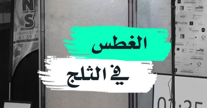 الغطس في الثلج