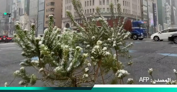 طوكبو ترتجف تحت وطأة الثلج لأول مرة منذ 4 سنوات