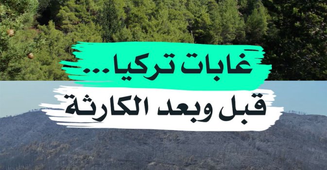 غابات تركيا... قبل وبعد الكارثة