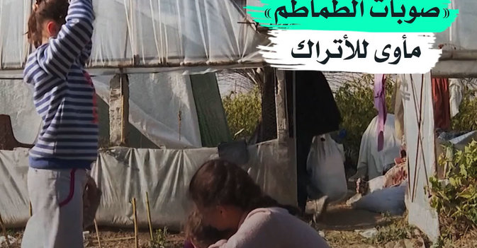 «صوبات الطماطم» مأوى للأتراك