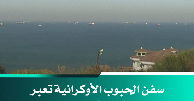 سفن الحبوب الأوكرانية تعبر مضيق البوسفور