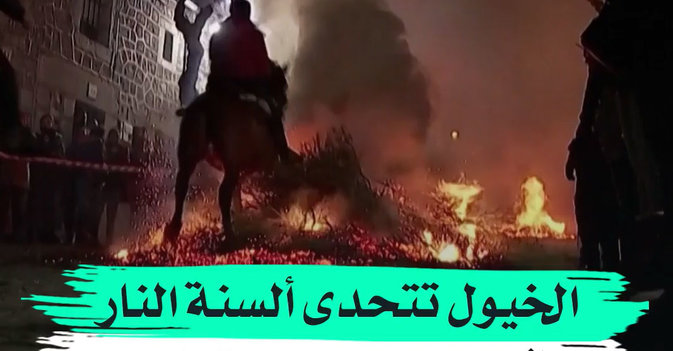 الخيول تتحدى ألسنة النار في مهرجان إسباني تقليدي