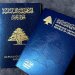 «استدراج عروض» لمتمولين سوريين للحصول على الجنسية اللبنانية