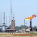 Cezayir petrol ve gaz şirketi Sonatrach, Libya’ya döneceğini duyurdu