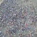 لقطة جوية لمصور يمني توضح انفضاض مصلين في إب بعد تعيين خطيب حوثي لصلاة العيد (إكس)