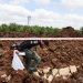 عناصر من الشرطة الإسرائيلية يفحصون موقع سقوط صاروخ أطلقته جماعة «الحوثي» على «مطار بن غوريون» (رويترز)