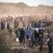 فلسطينيون يحملون مساعدات من «مؤسسة غزة الإنسانية» المدعومة أميركياً في وسط غزة الأحد (أ.ف.ب)