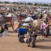 نازحون من الفاشر يتجمعون في ضواحي مدينة طويلة بغرب دارفور (أ.ف.ب)