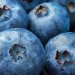 التوت الأزرق من أغنى الأطعمة بمضادات الأكسدة (بكسلز)