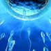 6 معلومات تهم الرجل عن الخصوبة