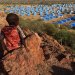 طفل يجلس على قمة تل مطل على مخيم للاجئين قرب الحدود السودانية مع تشاد في نوفمبر 2023 (رويترز)