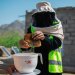 يمنية في محافظة حجة تجني العسل بعد أن تلقت تدريباً ودعماً لتربية النحل (الأمم المتحدة)