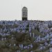 الحجاج وقفوا على صعيد عرفات تلهج ألسنتهم بالتلبية والتهليل والدعاء طلباً للمغفرة والرحمة (تصوير: بشير صالح)