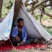 Husilerin tırmanışından kaçarak Yemen'in Taiz kentinin batısında ağaçların arasında kendisine barınak kuran yerinden edilmiş bir Yemenli (AFP)