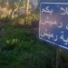 مدخل بلدة رميش في جنوب لبنان (الوكالة الوطنية للإعلام)