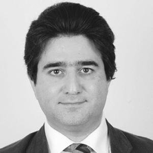 ماهر نقولا فرزلي